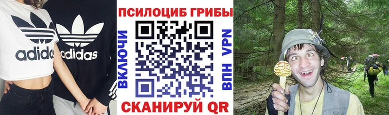гидра сайт  Приволжский  Галлюциногенные грибы ЛСД 